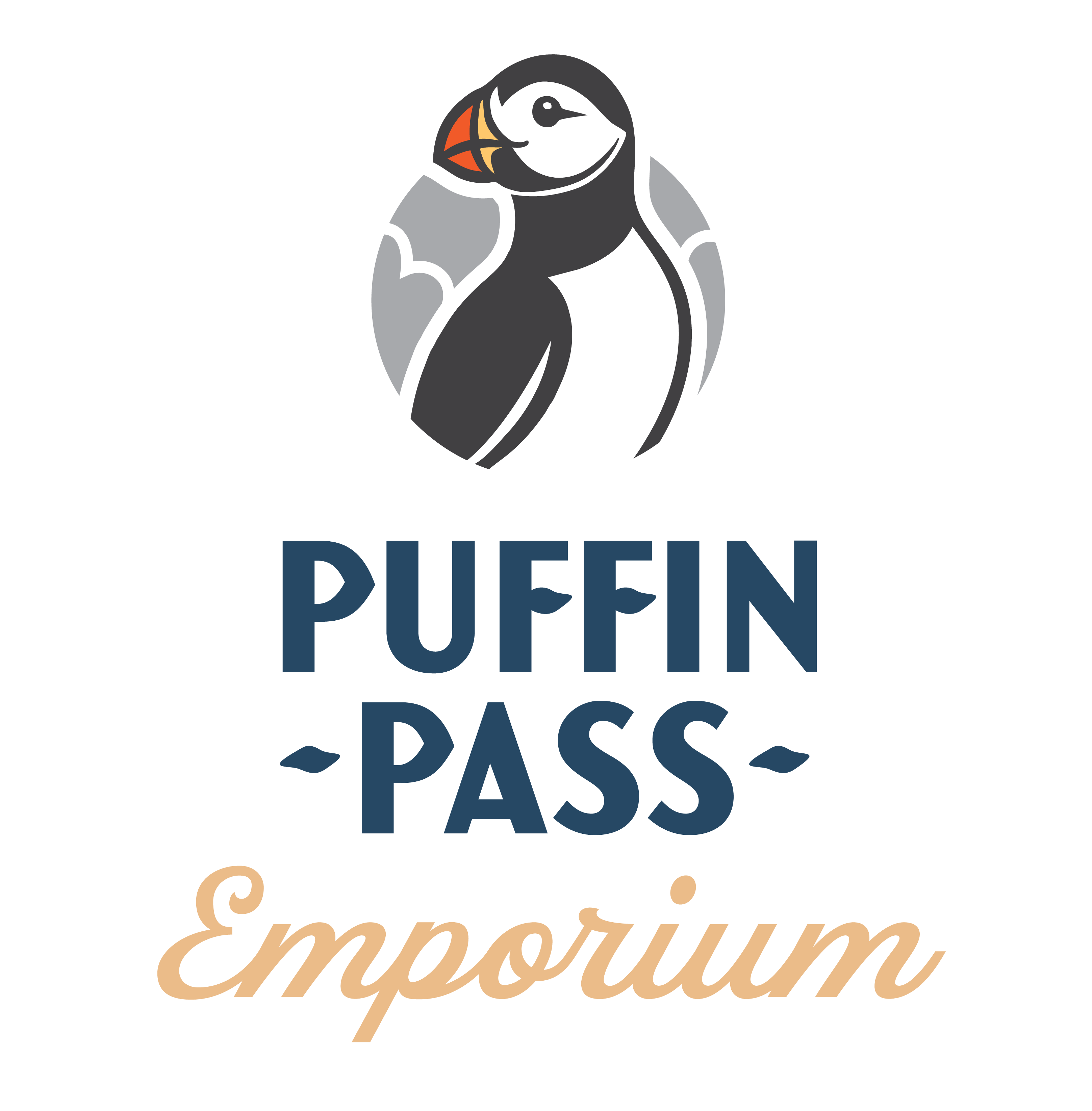puffinpass logo 03b blue