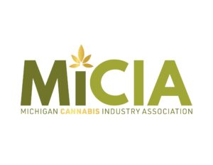 micia 2 300x232