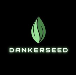 dankerseed 300x296