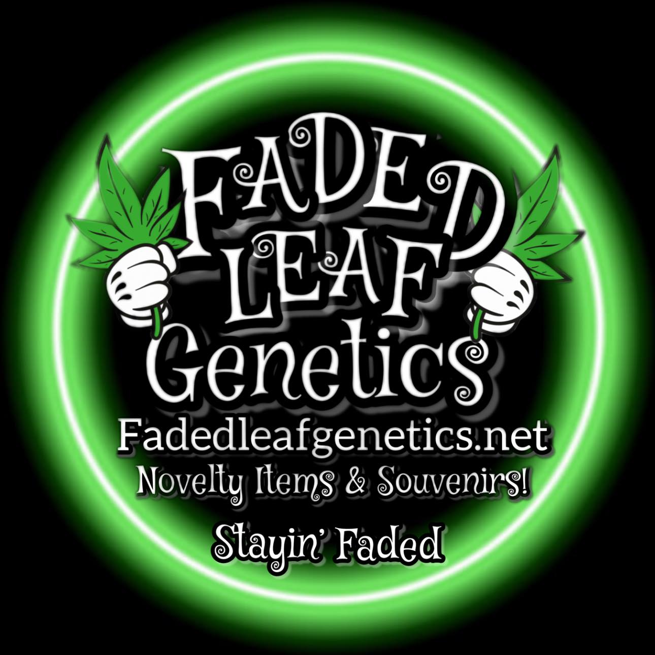 faded leaf genetics