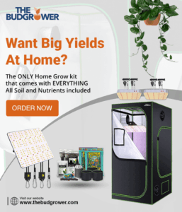 budgrower promo 257x300