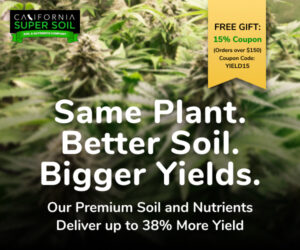 california super soil promo 15 300x250