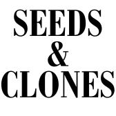 seeds and clones