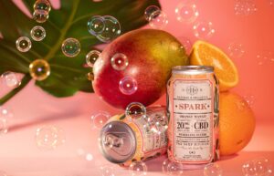 the hemp division cbd drinks 300x193