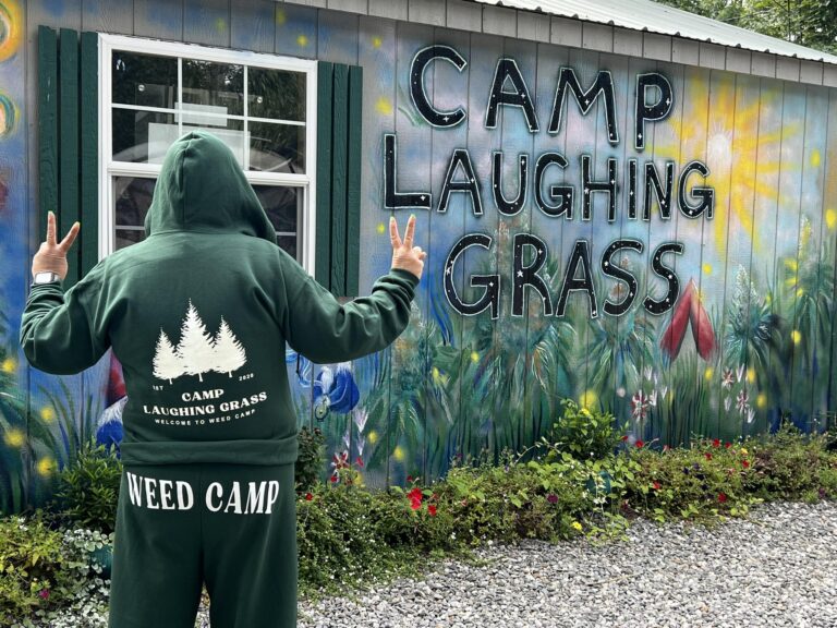 camp laughing grass 768x576