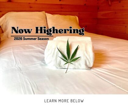 camp laughing grass job 420x352
