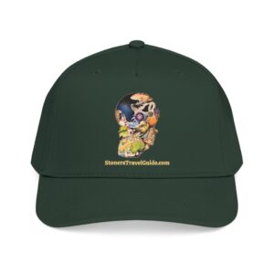 Chamber of CannaBizto wisconsin baseball cap — vintage embroidered hat